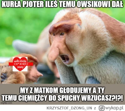 KRZYSZTOFDZONGUN - WIR DO SPUCHY!!!

#konkursnanajbardziejgownianymemznosaczem #wosp