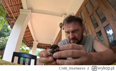 Chilli_Heatwave - #raportzpanstwasrodka #popaswpieprz 


Dr (do)litr