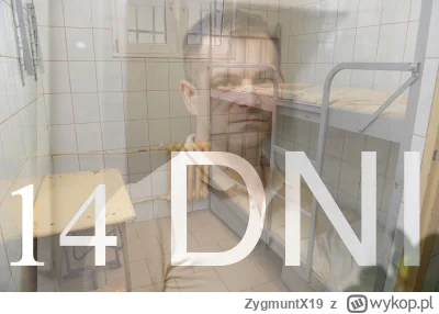 ZygmuntX19 - #kononowicz #patostreamy