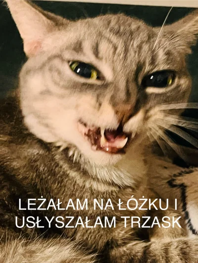 kangurka - #heheszki #smiesznekotki #memy 

(więcej w komentarzu)