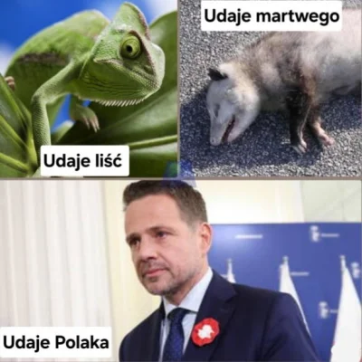 Elberus - #trzaskowski #polityka