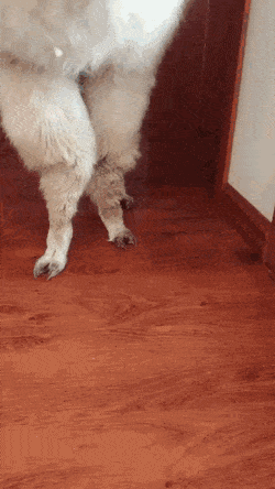 wfyokyga - Dzień dobry