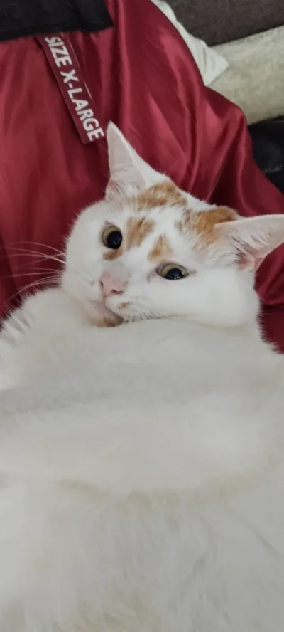 Mega_Smieszek - Plany na ten rok:

- Schuść;
- Być dalej białym;
- Zrobić prawko;
- K...