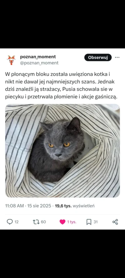 Manioza - #przypalonykot #heheszki #poznań