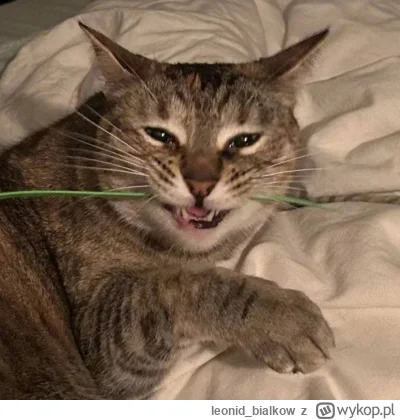 leonid_bialkow - @wfyokyga: cze