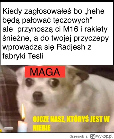 Grzesiok - ! #usa #trump #elonmusk #swiat #ukraina #wojna #rosja #heheszki #polityka