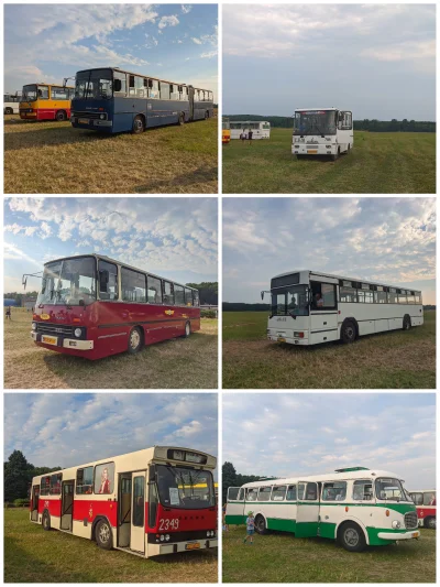 sylwke3100 - "50 lat autobusów Ikarus na Śląsku" czyli zlot Zabytkowych autobusów któ...