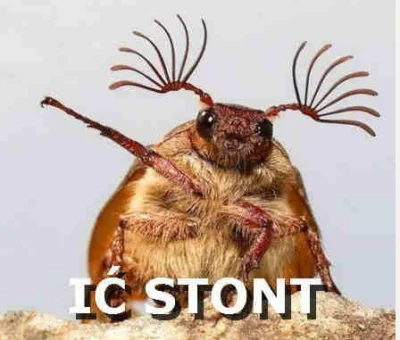 momaniek - @MariannaSchreiber: