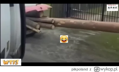 pikpoland - #heheszki #kradnijzwykopem
Kradziez drewna z lasu na slasku.