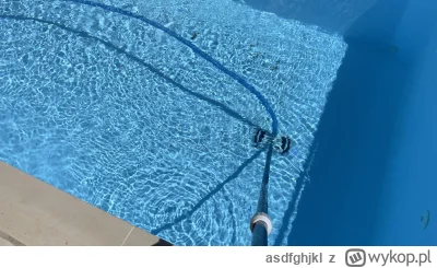 asdfghjkl - #!$%@? piasek z Sahary. Codziennie muszę czyścić. I tak dobrze bo dziś ma...