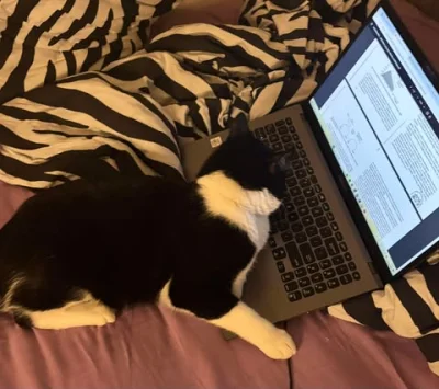 nataliab11 - siemano, jeśli ktoś chciałby pomóc studentce psychologii skończyć pracę ...