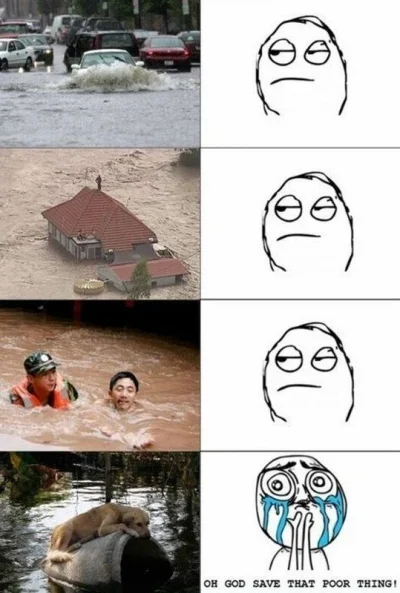 RasowyAfroamerykanin - taki Wasz marny obraz #psiarze
#psy #bekazpsiarzy #bekazpodlud...