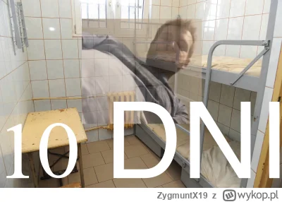 ZygmuntX19 - #kononowicz #patostreamy