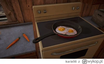karix98 - robie breakfast
#sniadanie #gry #farcry5 #heheszki