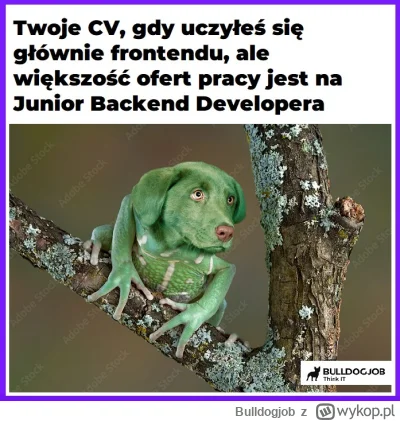 Bulldogjob - Sswoof!

#heheszki #humorobrazkowy #programowanie #programista15k #java ...