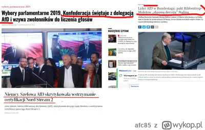 afc85 - kolaboracja konfederosji z afd jest głębsza niż jakieś pojedyncze spotkania i...