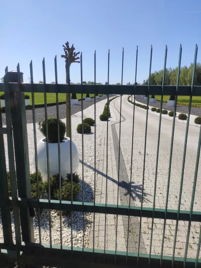 Soothsayer - Ale sobie podjazd do pałacu wybudował bogol jeden ale mnie zazdrość zżer...