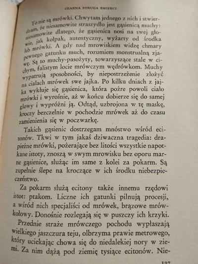 Michas__lwk - Arkady Fiedler-Ryby śpiewają w ukajali
#natura #owady #horror