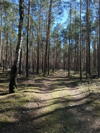 Gontyn- - #przegryw #spierdotrip