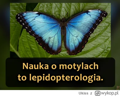 Ukiss - To dział entomologii (nauki o owadach) zajmujący się badaniem motyli i ciem.
...