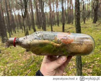 zepsutyzachod - #grzyby nie moje, z grupy na fb