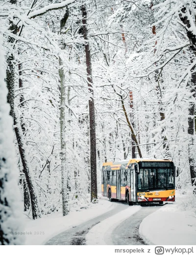 mrsopelek - Bielsze nie będzie.

Tag do nieobserwowania -> #sopelek

#lodz #fotografi...