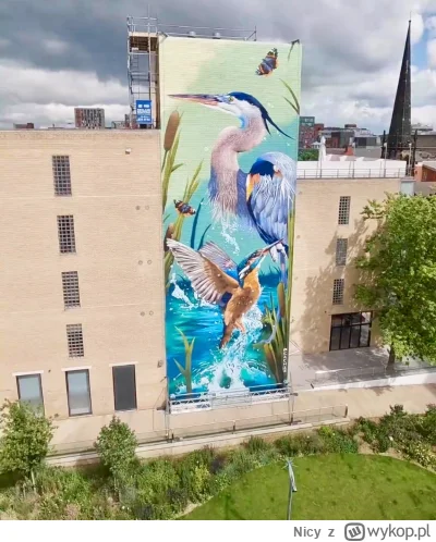 Nicy - 5 NAJPIĘKNIEJSZYCH MURALI NA ŚWIECIE. EDYCJA 2024.
Część 4 z 5

MIEJSCE 2.
She...