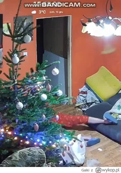 Gaki - #danielmagical #patostreamy