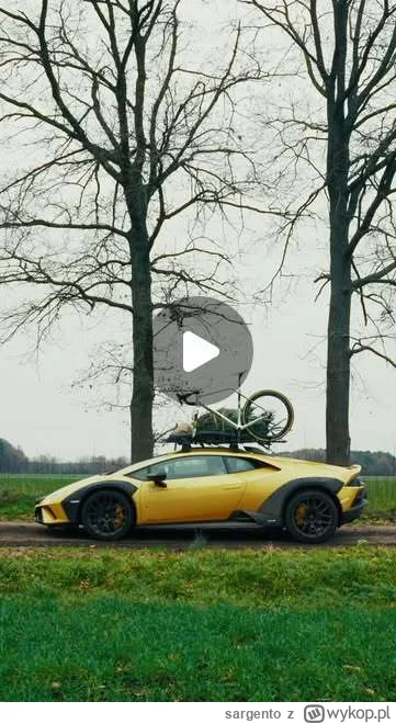 sargento - #swieta #choinka #rower #mvdp
A wy macie już choinkę na Święto?