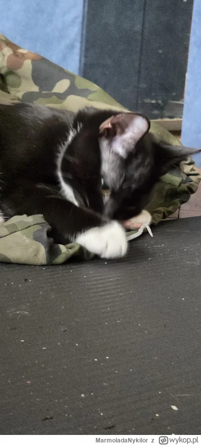 MarmoladaNykilor - @MarmoladaNykilor: