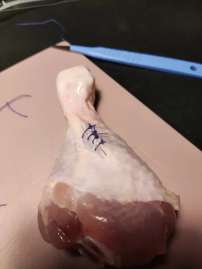 jmuhha - Niedługo zaczynam staż na urologii i uczę się szyć

Jeszcze parę tygodni i b...