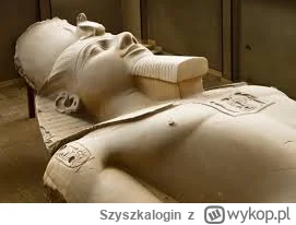 Szyszkalogin - #przegryw Ramzes II miał ponad 200 żon i konkubin, jednak jego ulubion...