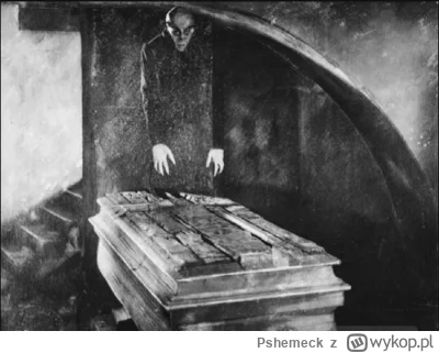 Pshemeck - Nosferatu (1922)
#kinematografia #kino #hisoria