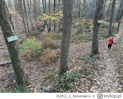 R2D2zSosnowca - @R2D2zSosnowca ciekawostką jest, że na trasie oznaczone są źródła z k...