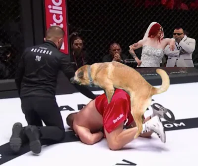 pokyw12 - @mietek123456