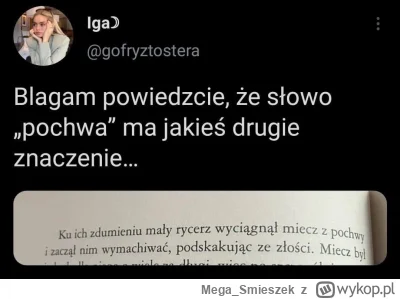 Mega_Smieszek - #heheszki #humorobrazkowy #literatura #pochwa