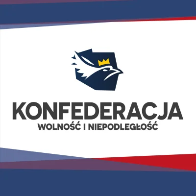 HrabiaTruposz - Ankieta skierowana do wyborców Konfederacji

#polityka #wybory #4kons...