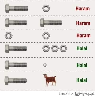 ZionOfel - ( ͡° ͜ʖ ͡°)
#heheszki #iran #memy #islam #bliskiwscho