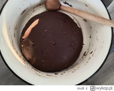 moll - Kula  piernika, tłuczek dla skali xD

#kuchniamoll #gotujzwykopem #pierniki