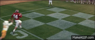 mecenas-z-piaseczna - Kaminski ynteligent biegl biegl az cale boisko pzebiegl i zabra...