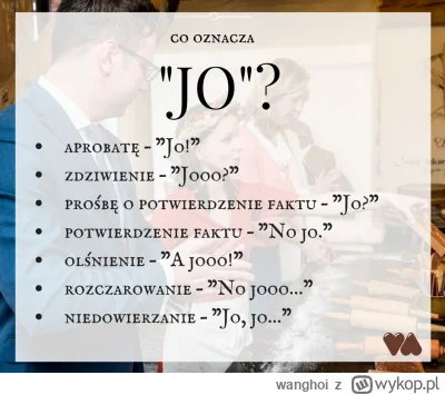 wanghoi - Jo wyraża więcej niż tysiąc słów

#jezykpolski #torun #kaszuby #kujawy #gda...