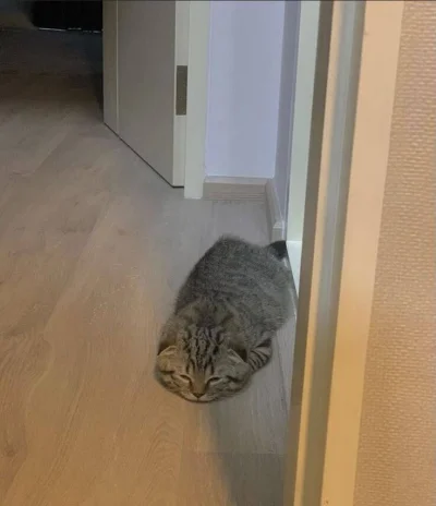 PorzeczkowySok - przed wami płaskot