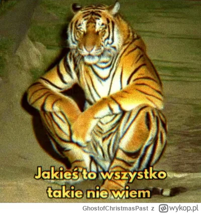 GhostofChristmasPast - @wfyokyga: