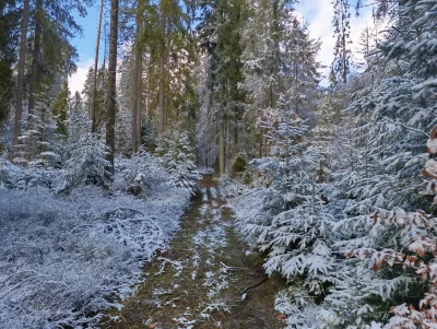 onepnch - #bieganie 

a tatuś musi #pdk