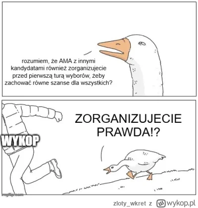 zloty_wkret - #ama #wykop