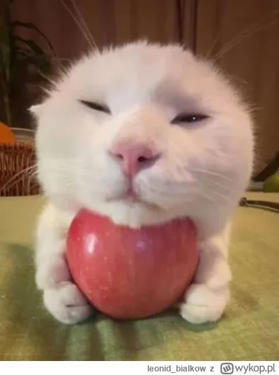 leonid_bialkow - @Graner: japko dla cb