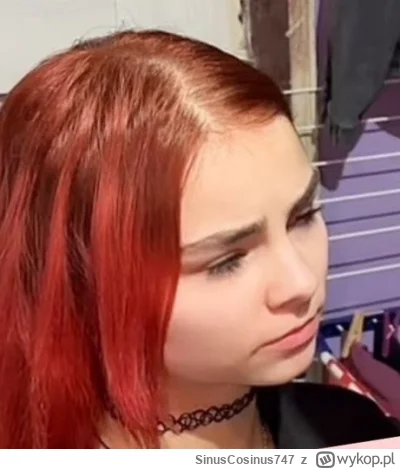 SinusCosinus747 - Jeszcze kurła tylko trochę #danielmagical