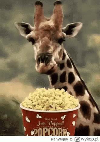 PanWojny - #kononowicz