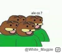 White_Magpie - @Alahagba