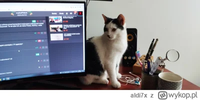 aldi7x - Taki czarno biały kot, zaginął z półtora roku temu. Robiłem ocieplenia i szw...